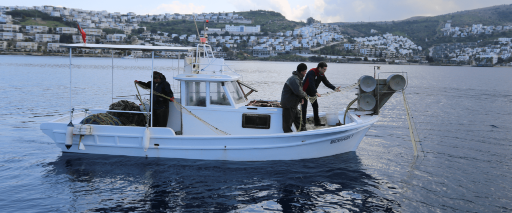 Aid to the Earthquake Zone Muğla Fishermen Throw Nets (2)