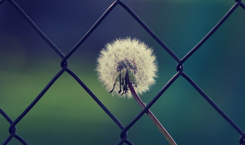 Mindfulness The Way to Improve Your Mental and Physical Health (1)