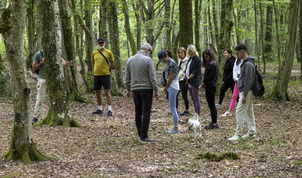Global Wellness Day Seamlesstance Beyoğlu (3)