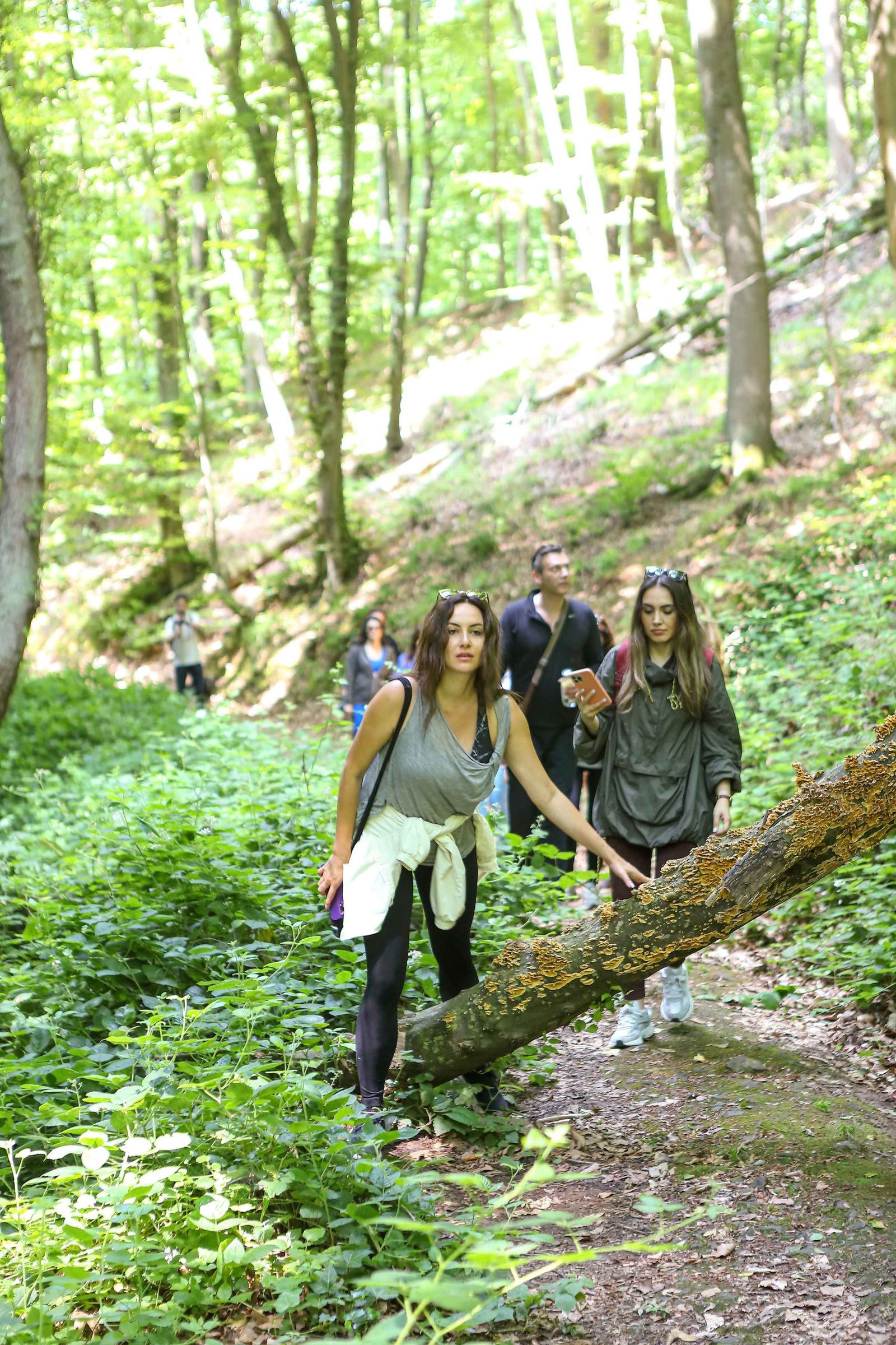 Ayşe Tolga Forest Therapy Seamlesstance Nature Experience (1)