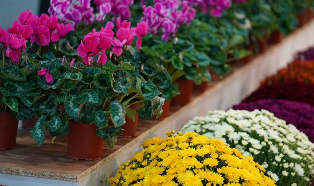 2nd Istanbul Landscape Fair (LIF) 2023 Great Expectations, Great Participation (4)